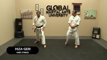 Shotokan Journey to Black Belt with Charles - 9th Kyu White - Class 2