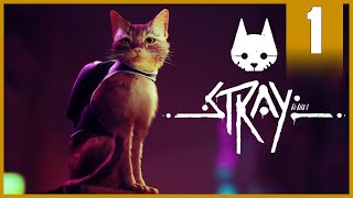 Szisza!! 😺 | Stray (PS5) #1 - 07.19.