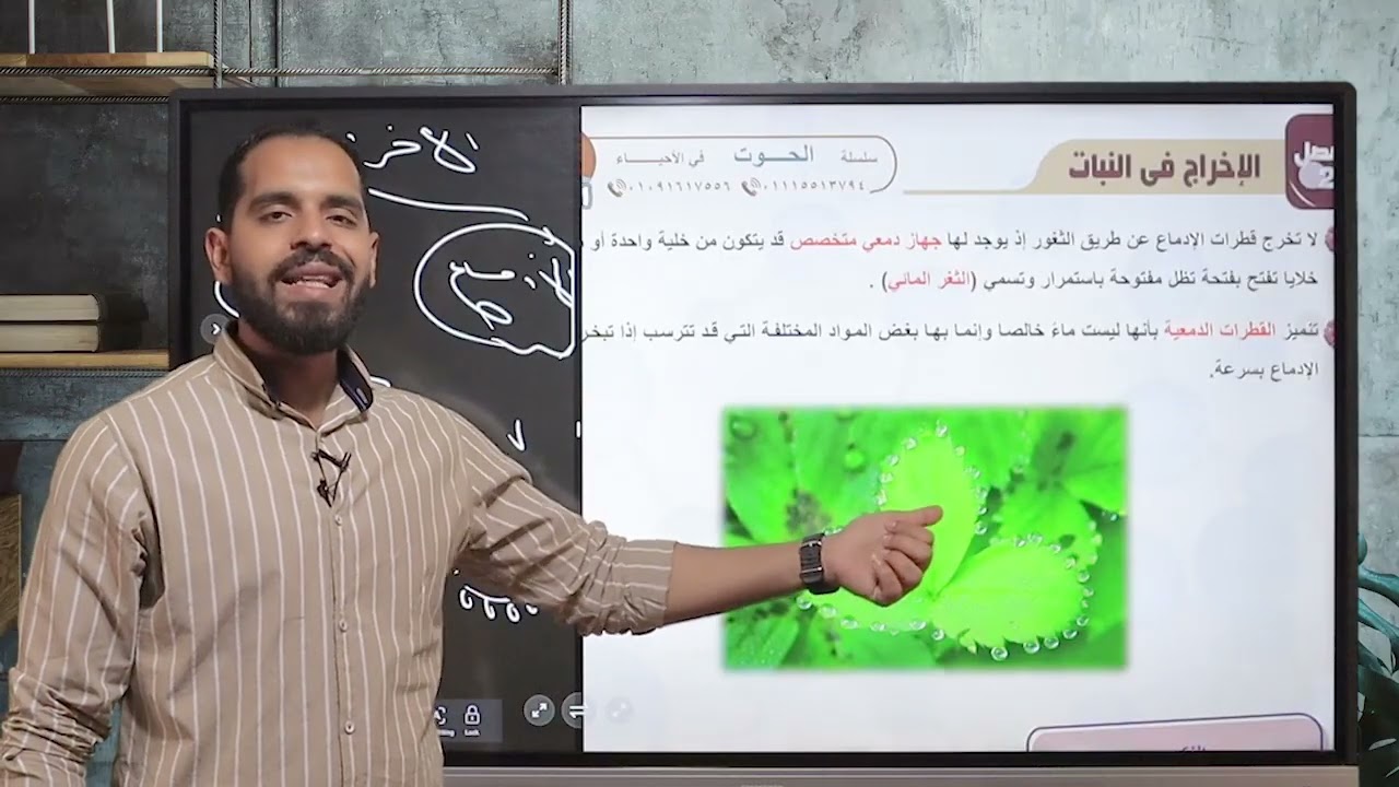 الأخراج في النبات