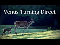 Venus Turning Direct