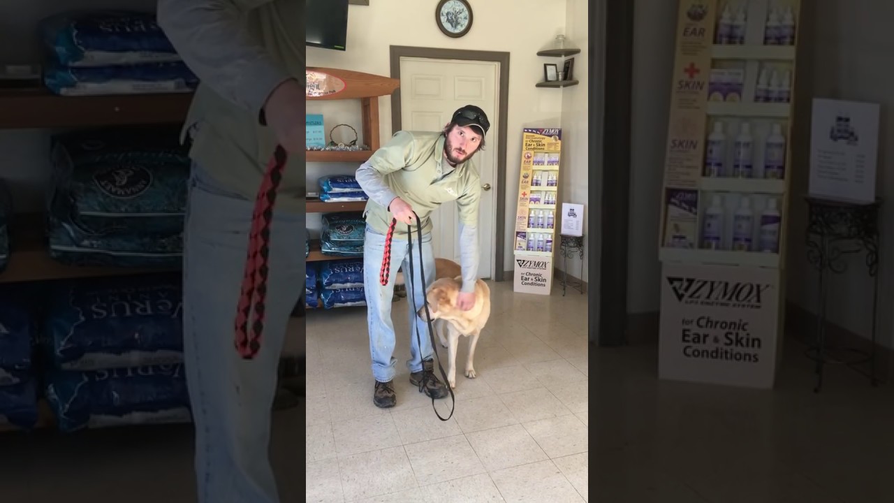 Pull No More Leash Instruction Video