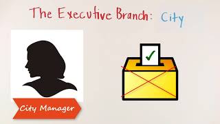 The Executive Branch at the Local Level
