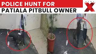 Pitbull Attack In Patiala: Police Probe Owner After Couple Attacked In Ghuman Nagar