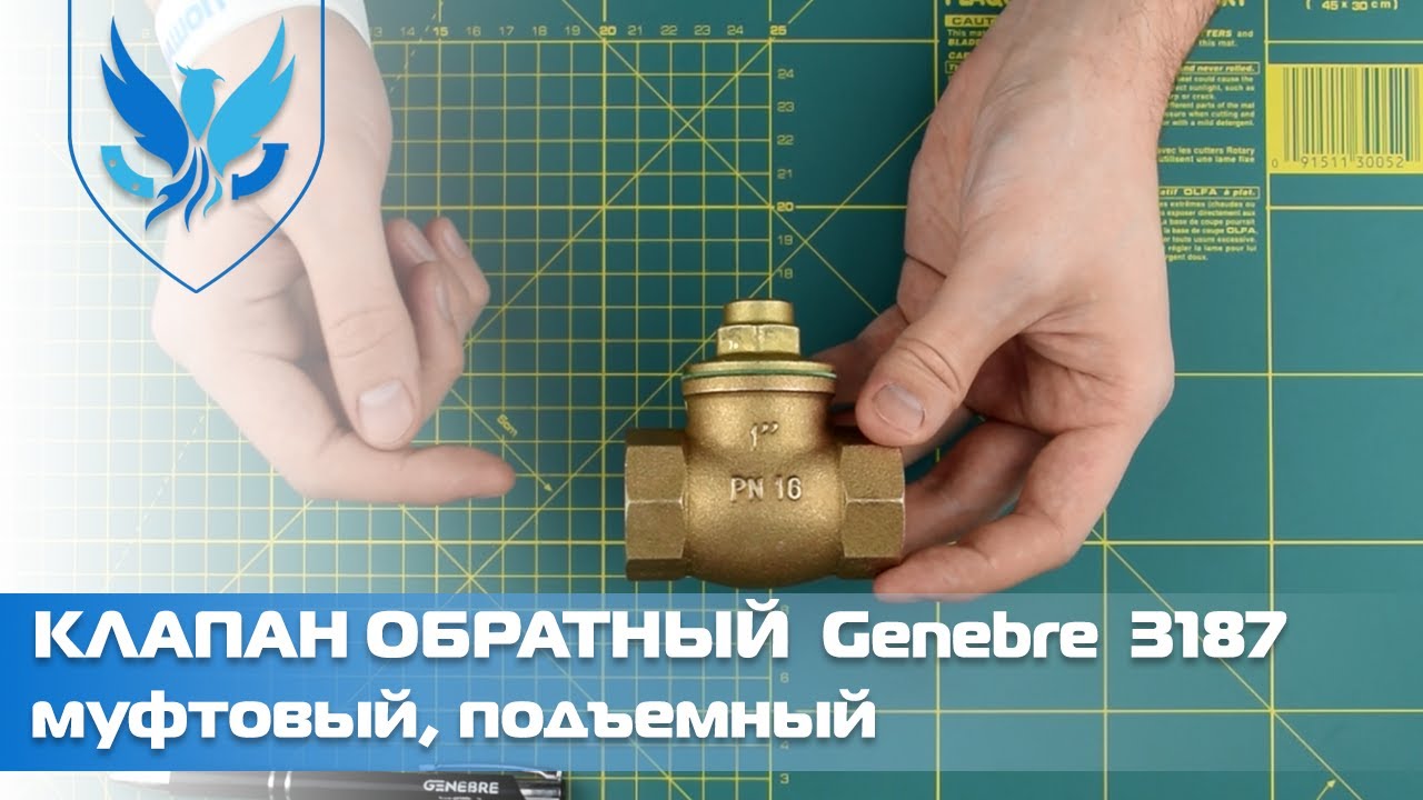 ???? Клапан обратный муфтовый Genebre 3187. ?? Подъемный клапан Ду 15 ...