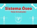 Sistema Óseo/Tipos de Tejidos Óseos/Clasificación de los Huesos.