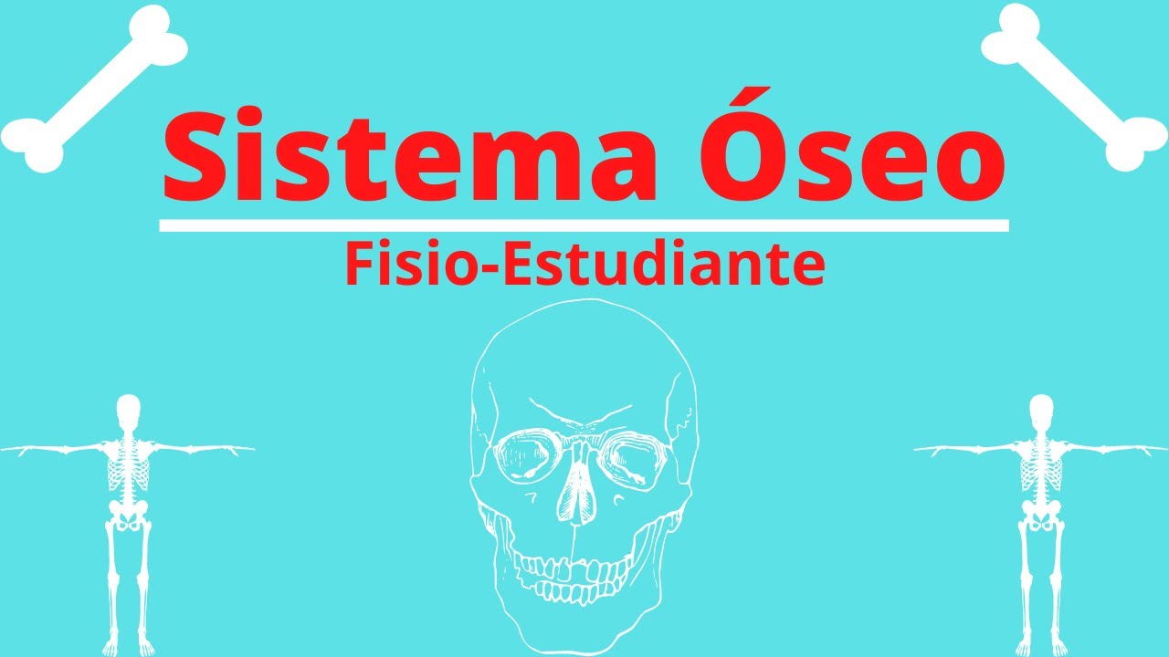Sistema Óseo/Tipos de Tejidos Óseos/Clasificación de los Huesos. ViDoe