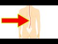 Fix Your Curved Spine (Scoliosis) - 휘어진 척추를 간단하게 교정하는 법