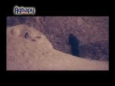 مديح شيوخ برية شيهيت YouTube