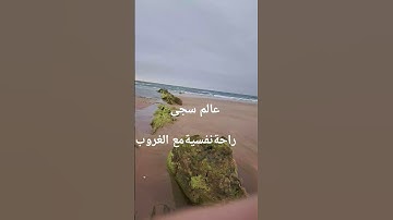 #سورة_الملك #ماهر_المعيقلي #اكسبلور #trending #تيك_توك #tiktok #السعودية #قرآن #قران_كريم