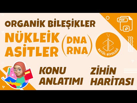 Nükleik Asitler (DNA - RNA) - TYT Biyoloji - 9. Sınıf Biyoloji + PDF #DNA #RNA #YKS2022