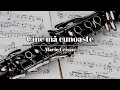 Mario Crișan - Cine mă cunoaște | Instrumental clarinet |
