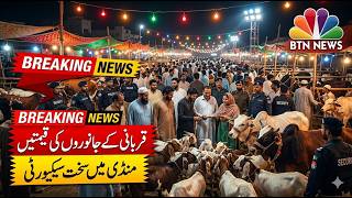 Bakra Mandi Mein Security High Alert | Qurbani Janwaron Ki Qeematein | BTN News