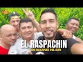 Los Bacanes Del Sur - El raspachin | Música Norteña