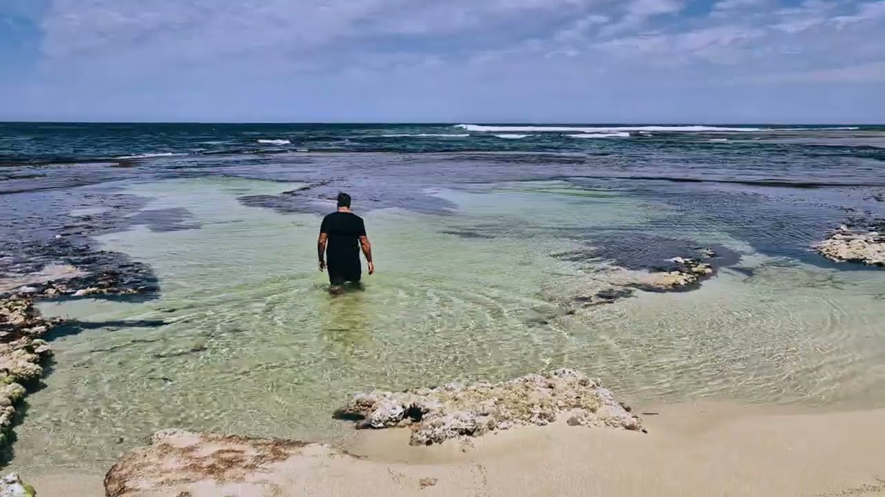 The calm west coast journey leading to Quokkas. No talking