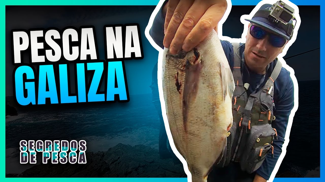 Pesca aos sargos na Galiza dia 1