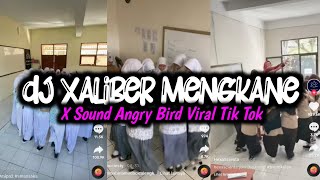 Dj Xaliber Mengkane X Sound Angry Bird Viral Tik Tok ( Ojik Iki Rimex )