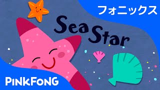 Sea Star | フォニックス読みS | ABCフォニックスの歌 | ピンクフォン
