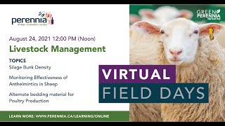 Virtual Field Days: Livestock Management