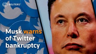 Musk warns of Twitter bankruptcy as more executives quit Profile
