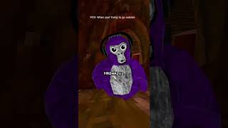 POV: When you’re trying to go outside… #gorillatag #gtag #vr