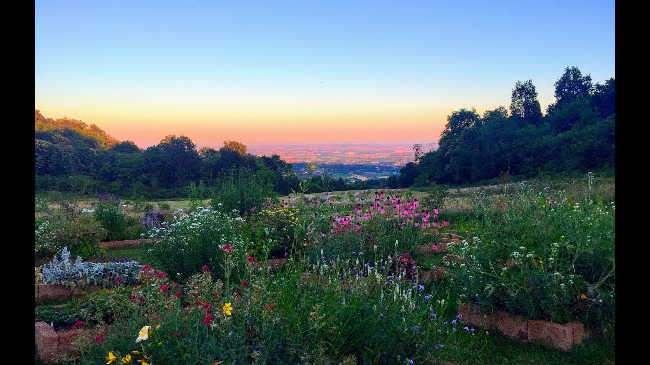 Alla scoperta del Viridarium Lab-Garden