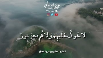 القارئ/ صالح الفضل | حالة واتس أب