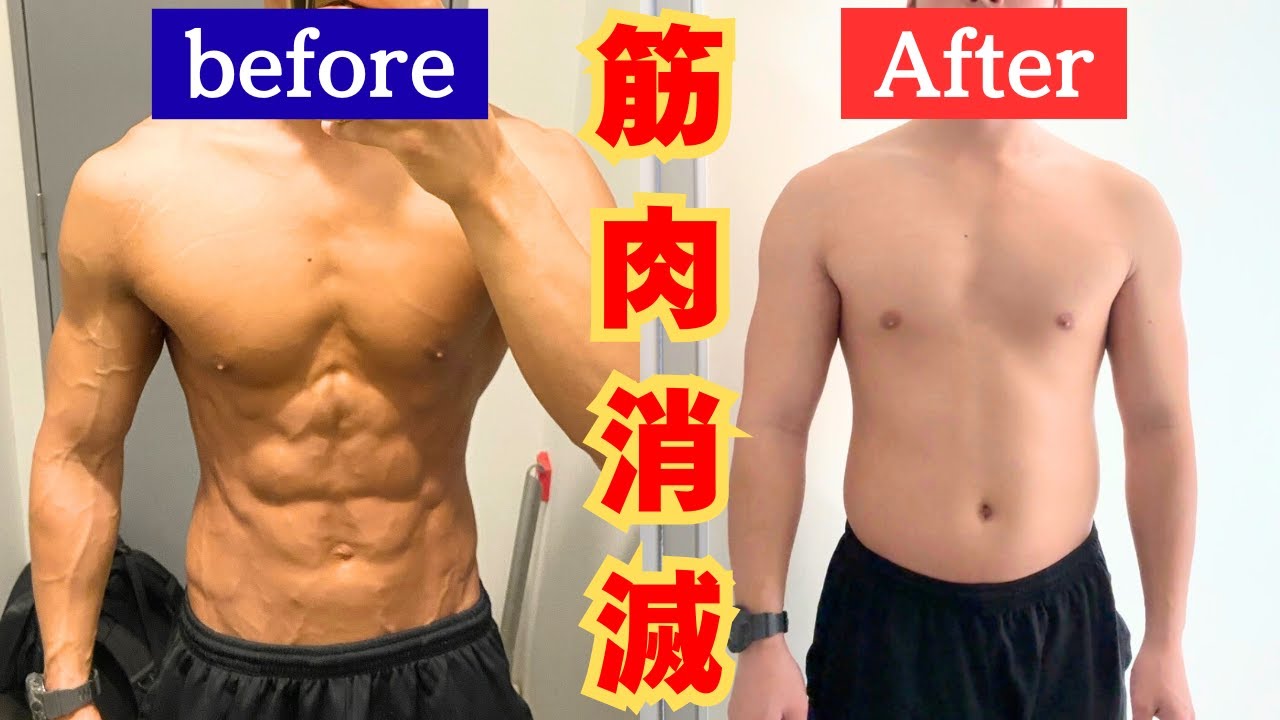 【検証開始】筋トレ3ヶ月休むと身体はこうなる｜サイズ＆重量をリアル測定【回復シリーズ#1】