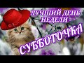 Лучший день недели СУББОТОЧКА! С добрым субботним утром! Очень Красивая Музыкальная Открытка!