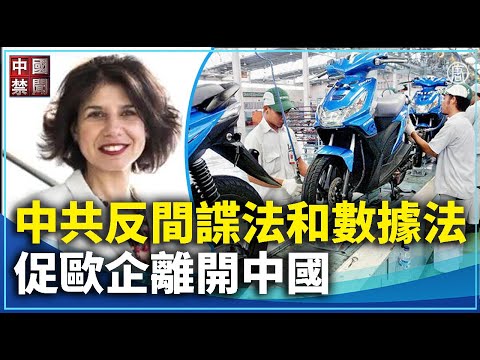 【禁聞】中共反間諜法和數據法 促歐企離開中國｜ #中國禁聞