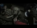 Крещение 2018