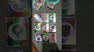 minhas figurinhas da copa