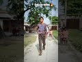 #kaisa lga editing 🔥 #trendingshorts #viralshorts #bhojpuri #shorts