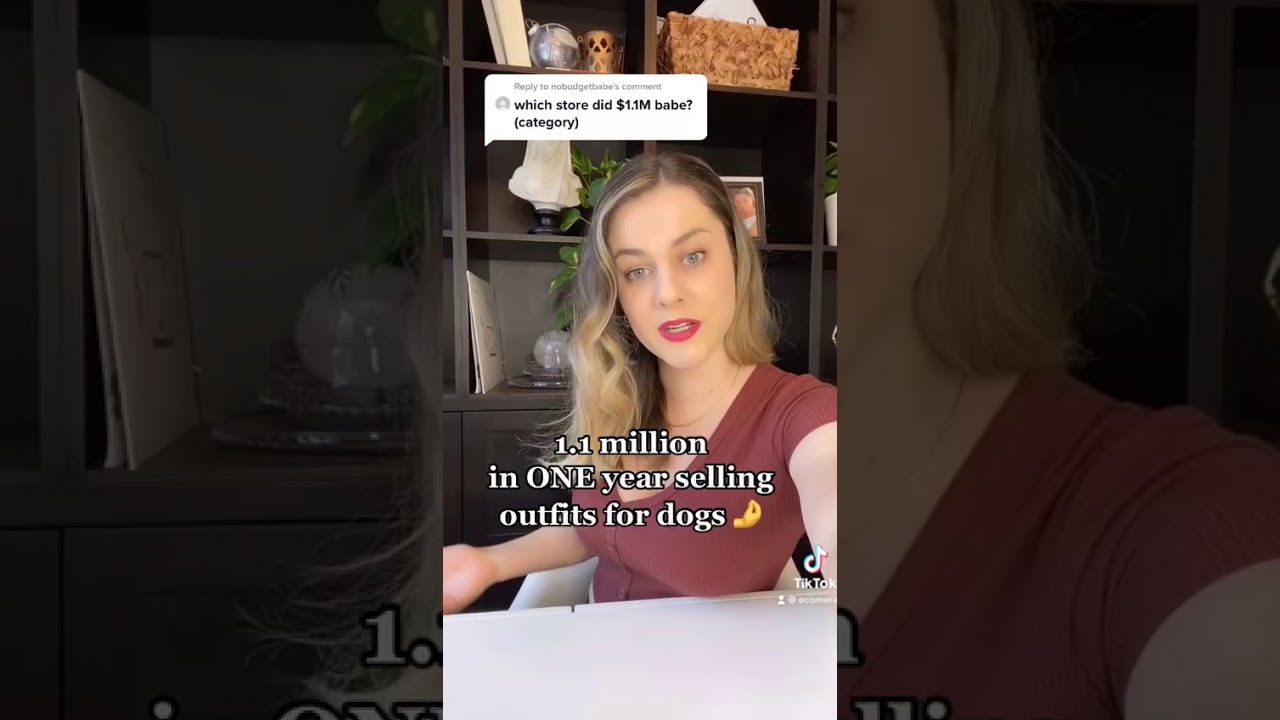 1.1 Million Sales in One Year (What Niche Store)