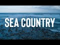 Sea country  a great southern reef film exploring tasmanian aboriginal connection to kelp forests