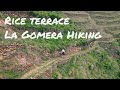 Hiking the Sugar terraces  |  Vallehermoso, La Gomera 4K