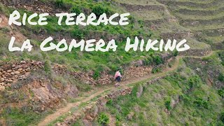 Hiking the Sugar terraces  |  Vallehermoso, La Gomera 4K