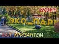 Бал Хризантем в Фельдман Экопарк видео прогулка. г. Харьков