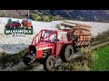 Novi traktor u akciji! Najaca SECA DRVA do sada! |Balkanska farma (EP10)