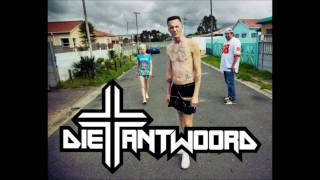 Watch Die Antwoord In Your Face video