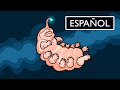 Cuestionario sobre el Origen de la Vida