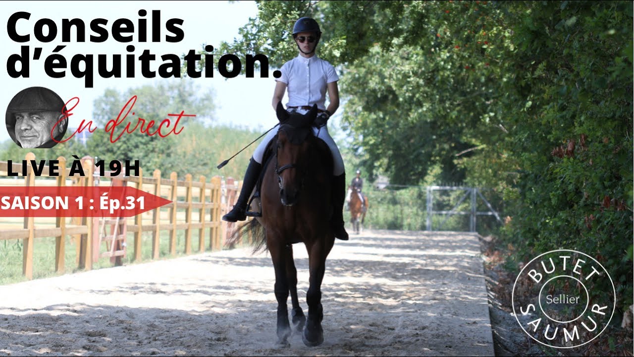 COACH EN DIRECT 1er saut monté d'Hollywood 3 ans fils du célèbre Candi de Nantuel