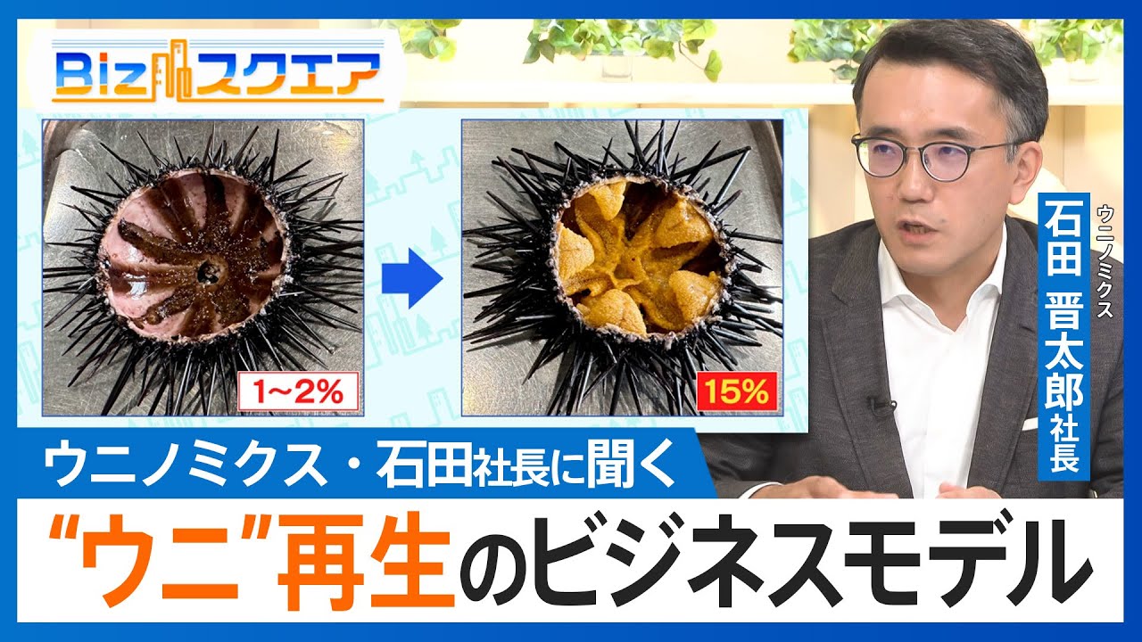 海藻食い荒らし、磯焼け起こす厄介者を「海の宝石」へ　ウニノミクス・石田晋太郎社長に聞く“中身がスカスカのウニを再生、世界一の錬金術”とは【Bizスクエア】