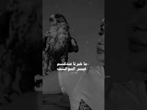 إن تحالفتم علينا ماعلينا ماقوينآ إلآ من أسباب التحالف اكسبلور