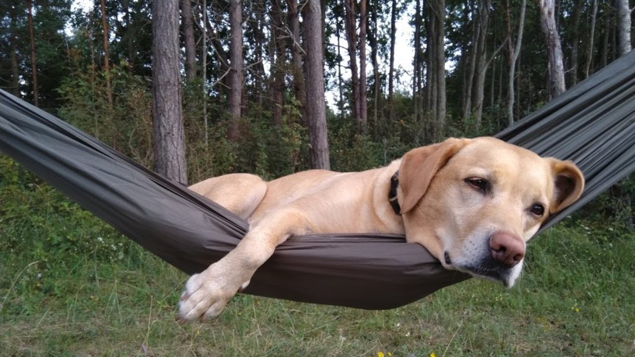 Nocleg na łotewskiej plaży, mandat i Przylądek Kolka