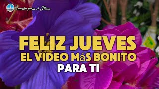 Feliz jueves El video de buenos días mas bonito del mundo Ábrelo es para ti