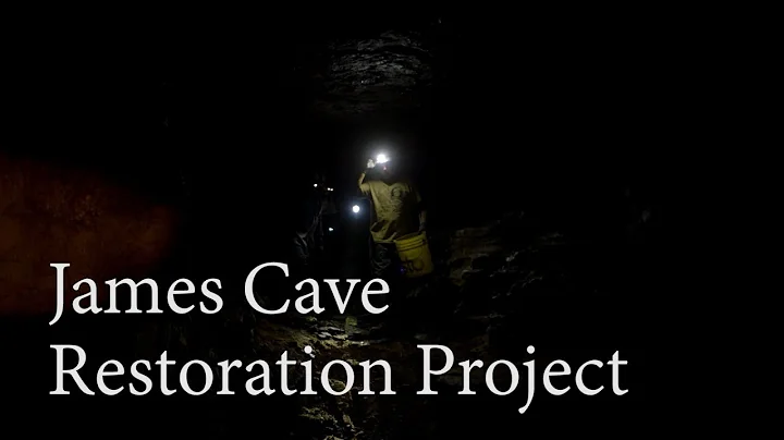 MainStreet - "James Cave Restoration Project"