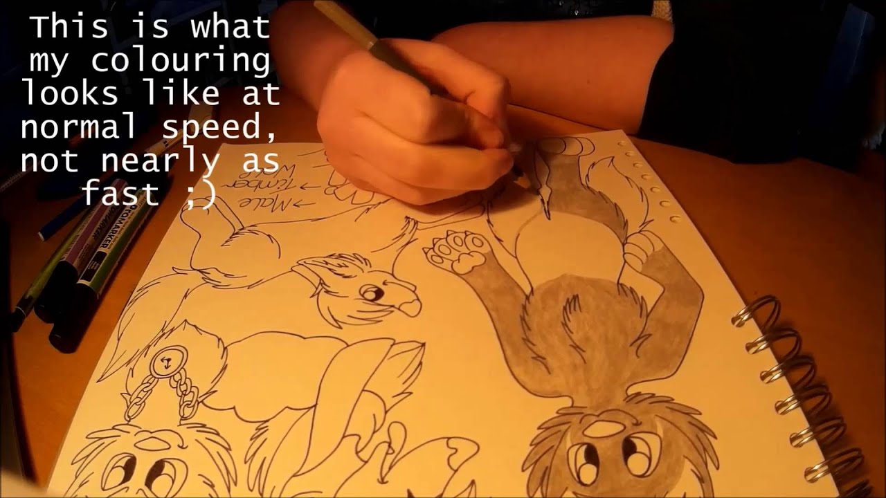 Locki Ref Sheet Speedraw, by Lockian