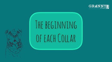 Paracord biothane adapter the beginning of each dog collar, Sjef gets it