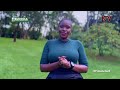 Market-oriented agriculture in Uganda (Koko Agri Farms) Part 2 | SEEDS OF GOLD