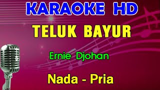 TELUK BAYUR - Ernie  Djohan | KARAOKE Nada Pria || Lagu Lawas
